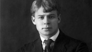 "Мелколесье. Степь и дали"  - С.Есенин (читает Дмитрий Ворон)