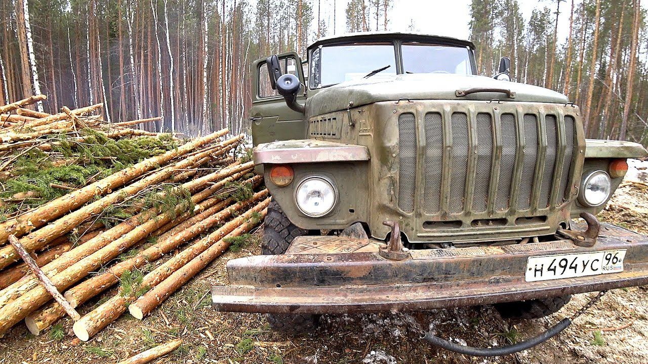 Строительство бани в лесу. Урал 4320 в деле, перевозит пиломатериал. Часть 1. смотреть онлайн