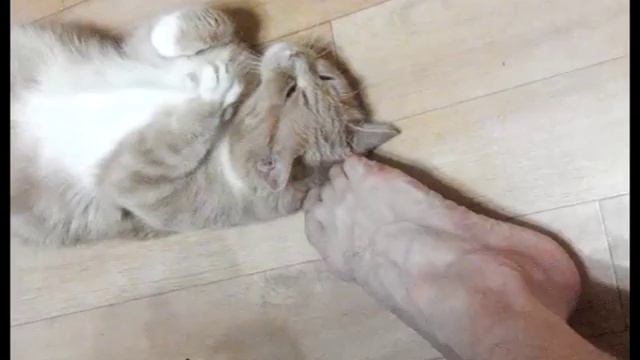 Коррозия+Металла   Пятнадцать+человек+на+сундук+мертвеца mp3 1