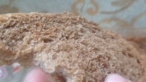 выращиваю плесень?день 2/как вырастить плесень