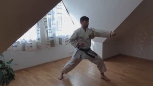 Каратэ для начинающих. Тренировки дома. Удар рукой "Ой тсуки". (Oi tsuki)