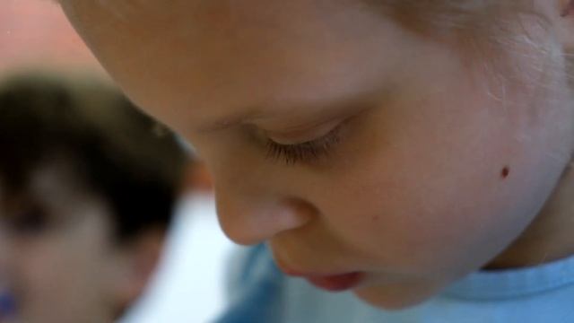 РО развиваем орфографическую зоркость на уроках русского языка Разумовскова НВ смотреть онлайн