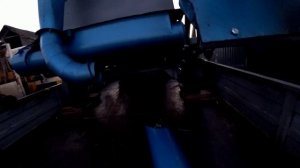 накрашенная овс 25 в хозяйство теперь будут очищенные свои семена с продукцией