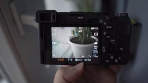 Как снимать и красить HLG на камерах Sony