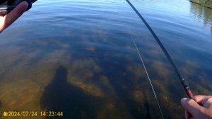 Эпизод 18. Неожиданная поклевка щука в прозрачной воде таежного озера.