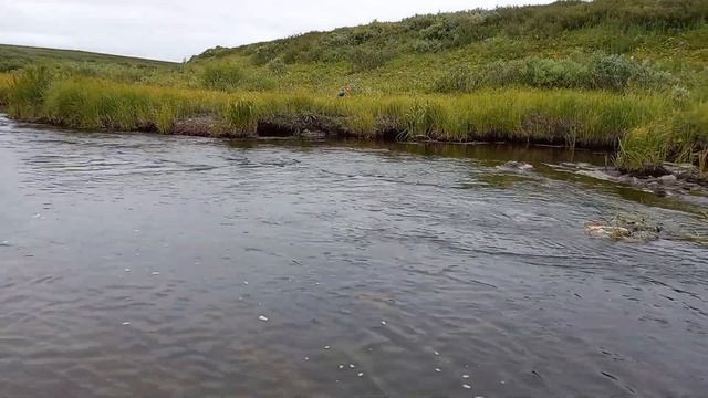 рыбалка Воркуте хариус