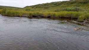 рыбалка Воркуте хариус