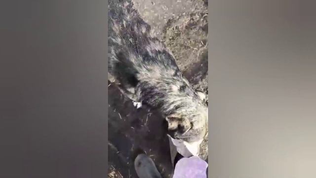 Крупье и другие новости
