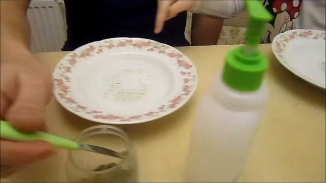 Опыт с поверхностным натяжением воды или специи боятся мыла смотреть онлайн