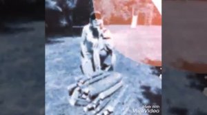 Катерина Голицына - Пополам любовь