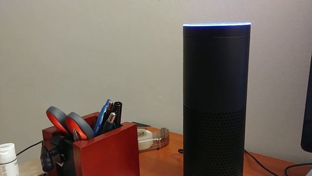 Anime Trivia смотреть онлайн