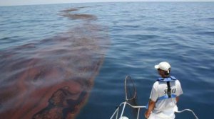 Как человек влияет на природу.