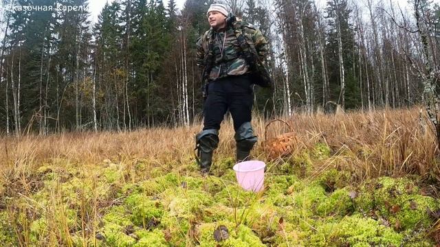 ГРИБНИК НЕ ОЖИДАЛ ТАКИХ СЮРПРИЗОВ! ПОХОД В ТАЙГУ НА БОЛОТО - КЛЮКВА, ЧЕРНИКА, БРУСНИКА И ГРИБЫ 2021 смотреть онлайн