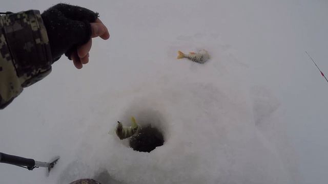 Нашёл ДОБРОГО окуня в черте города! Зимняя рыбалка возле города! Нашёл уток в феврале! смотреть онлайн