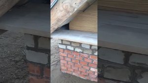 Будка для Лайки, мансарда для Котэ.