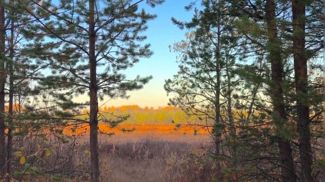 Красота осени