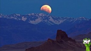 А что, если заменить ЛУНУ другими планетами? Зомби Чез