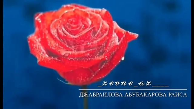 чеченский стих про весну смотреть онлайн