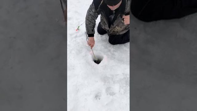 Каньон - рыбалка на форель в Подольске.