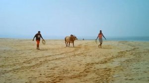 Индия - южный Гоа - Кармона-бич-январь 2016.Песня