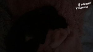 УКРАШАЕМ ДОМ К НОВОМУ ГОДУ 2022? ❄ ПОДГОТОВКА ❄ДЕКОР СВОИМИ РУКАМИ