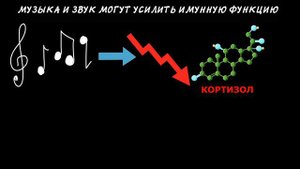 Как музыка влияет на человека?