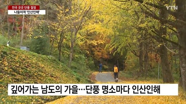 남녘에도 울긋불긋 단풍 절정...나들이객 인산인해 / YTN