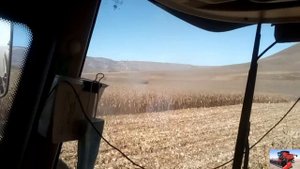 Уборка кукурузы 2020 Карачаево-Черкессия на Палессе GS-1218