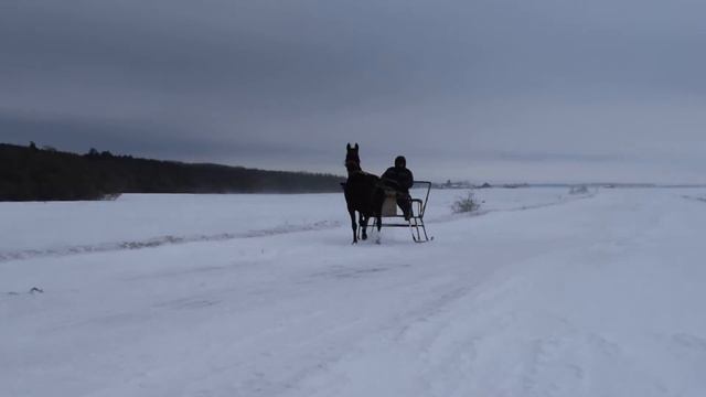 Нано Фонд смотреть онлайн