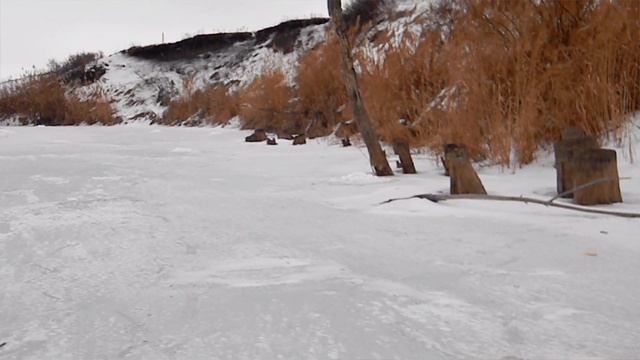 Норка. Наглость - второе счастье (полная версия). смотреть онлайн