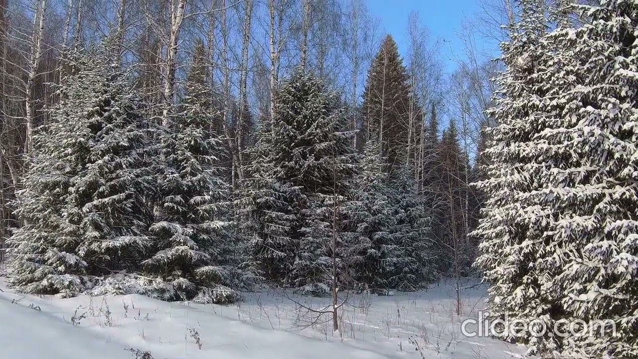 Подарок природы. смотреть онлайн