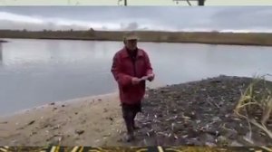 Воронежская область: жители села Каверье Рамонского района очень хотят спасти свой пруд! Очень! ?️
