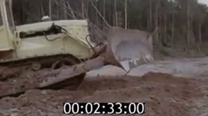 Строительство лесовозных дорог. СССР. 1984г.