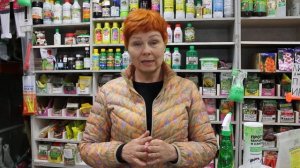 42  Сворачивание листьев на яблоне и сливе   Вредители ! Наши действия