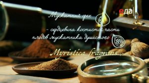 Специи | Мускатный орех