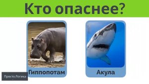 Расширяй кругозор! Решай СВЕЖИЕ ЗАГАДКИ НА ЛОГИКУ ДЛЯ ТВОЕГО IQ!