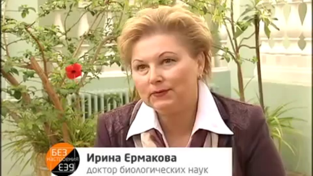 ГМО- последствия.....mp4