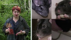 био-3-вопрос