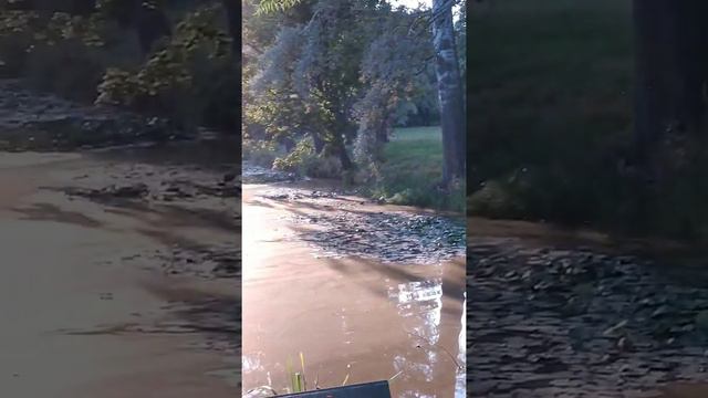 г.Белая Церковь смотреть онлайн