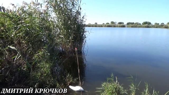 Интересная РЫБАЛКА САЗАН_2.300 и КАРАСЬ. Лабинск частный_5_Пруд КУБАНЬ. Сентябрь_2020. Живите в Кайф смотреть онлайн