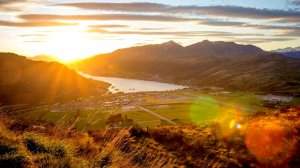 Совместная Эволюция.