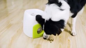 Катапульта для собак