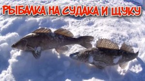 Ловля судака зимой. Ловля щуки. Зимняя жерлица.