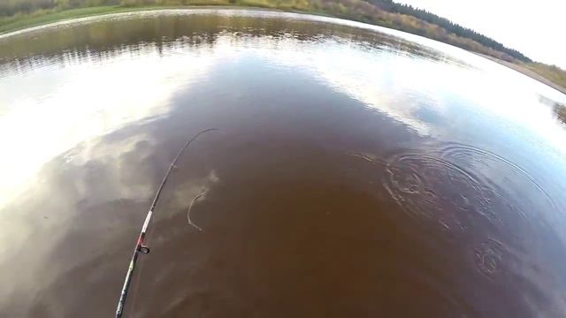 Ловля окуня на спининг .Осень . Республика Коми смотреть онлайн
