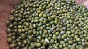 Машевый суп КАК ПРИГОТОВИТЬ ВКУСНЫЙ МАШЕВЫЙ СУП машхурда