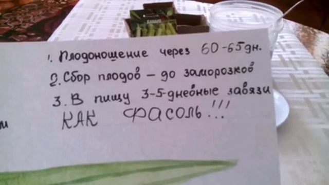 Бамия- находка для огородников смотреть онлайн