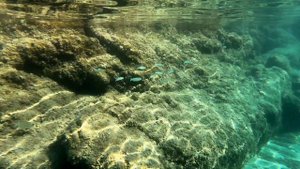 Доминикана|Дайвинг в Карибском море|Подводная археология