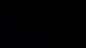 СУЩЕСТВУЕТ ЛИ СНЕЖНЫЙ ЧЕЛОВЕК?