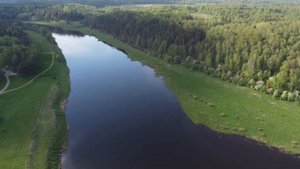 д.Чукавино (Тверская область, Старицкий район), май 2021