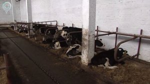 С какими проблемами пришли жители Венгерова на приём к главе региона?